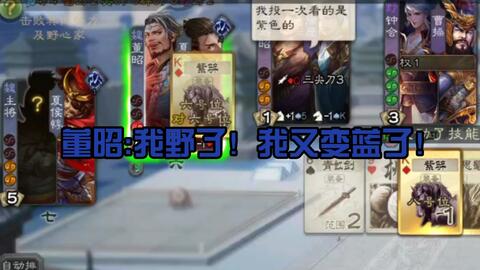 一局三个野，<em class="keyword">董昭</em>何德何能从野变回魏国再在三野中挣扎（附:如何针对孙綝攻略）