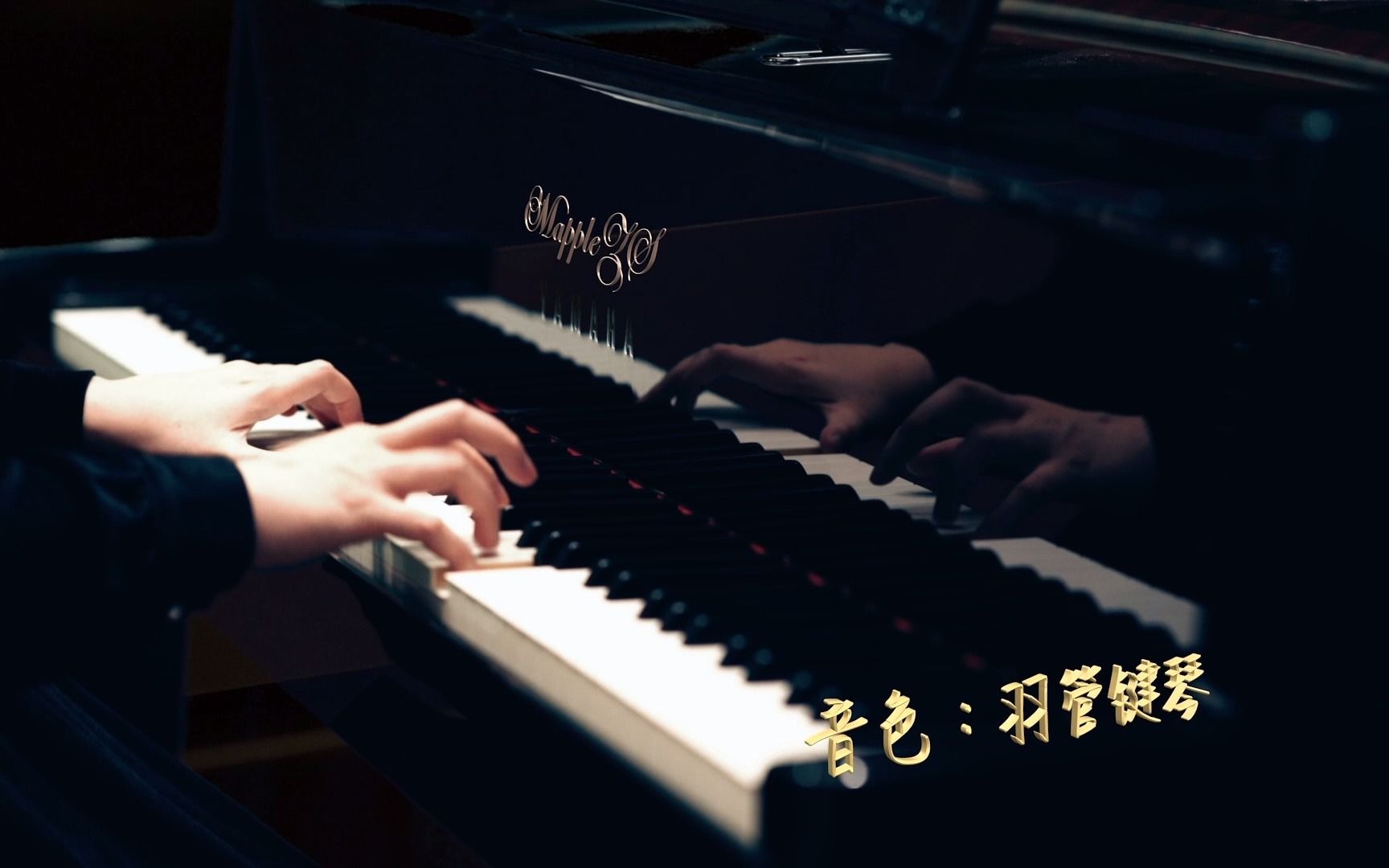 哥德堡变奏曲mapplezs钢琴演奏