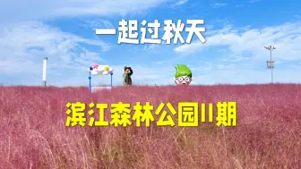 Descargar video: 一起过秋天｜上海10月浪漫的粉黛花海