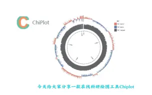 分享一个特别好用的在线绘图工具chiplot！