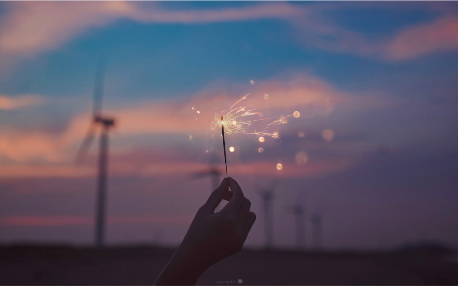 我的歌单樱花草