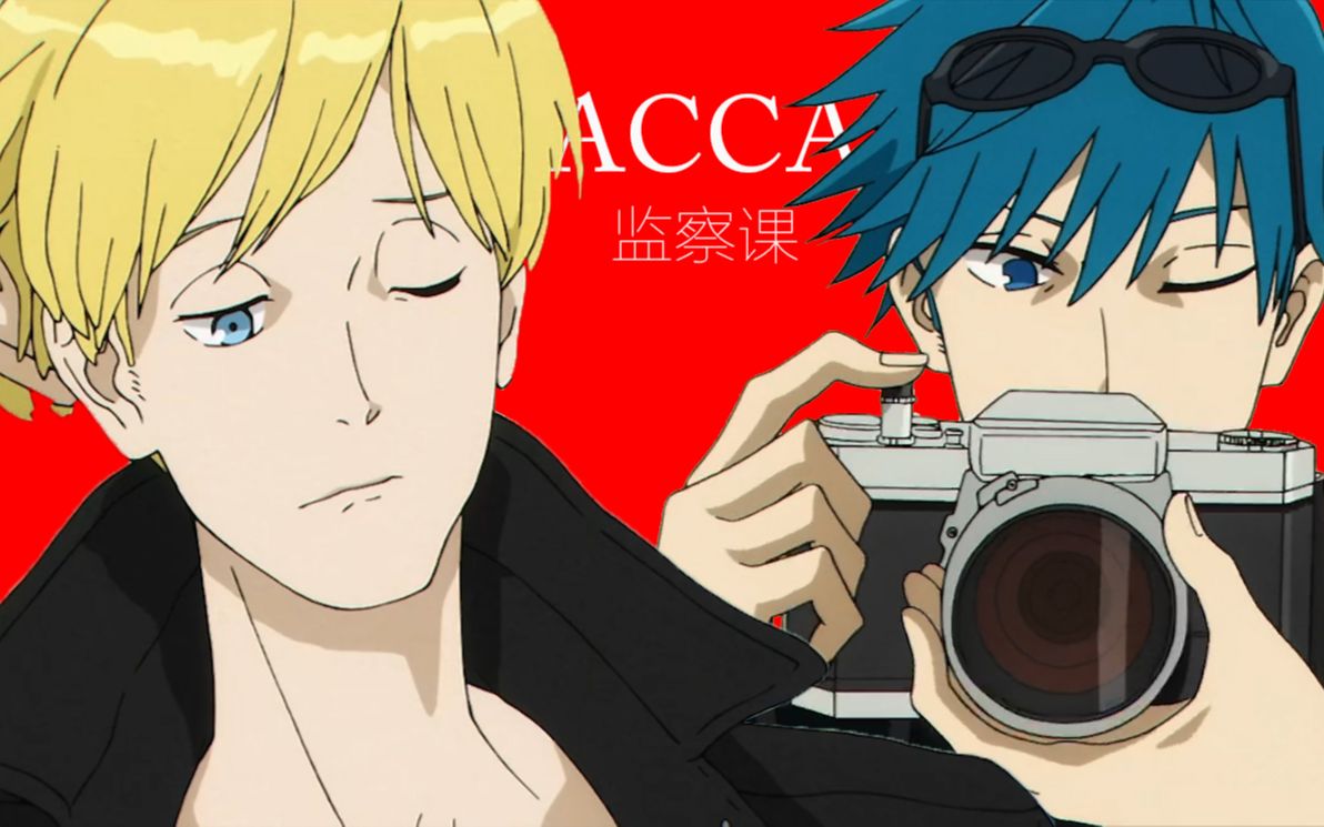 acca13区监察课图片