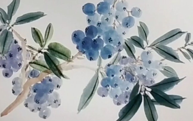 国画蓝莓