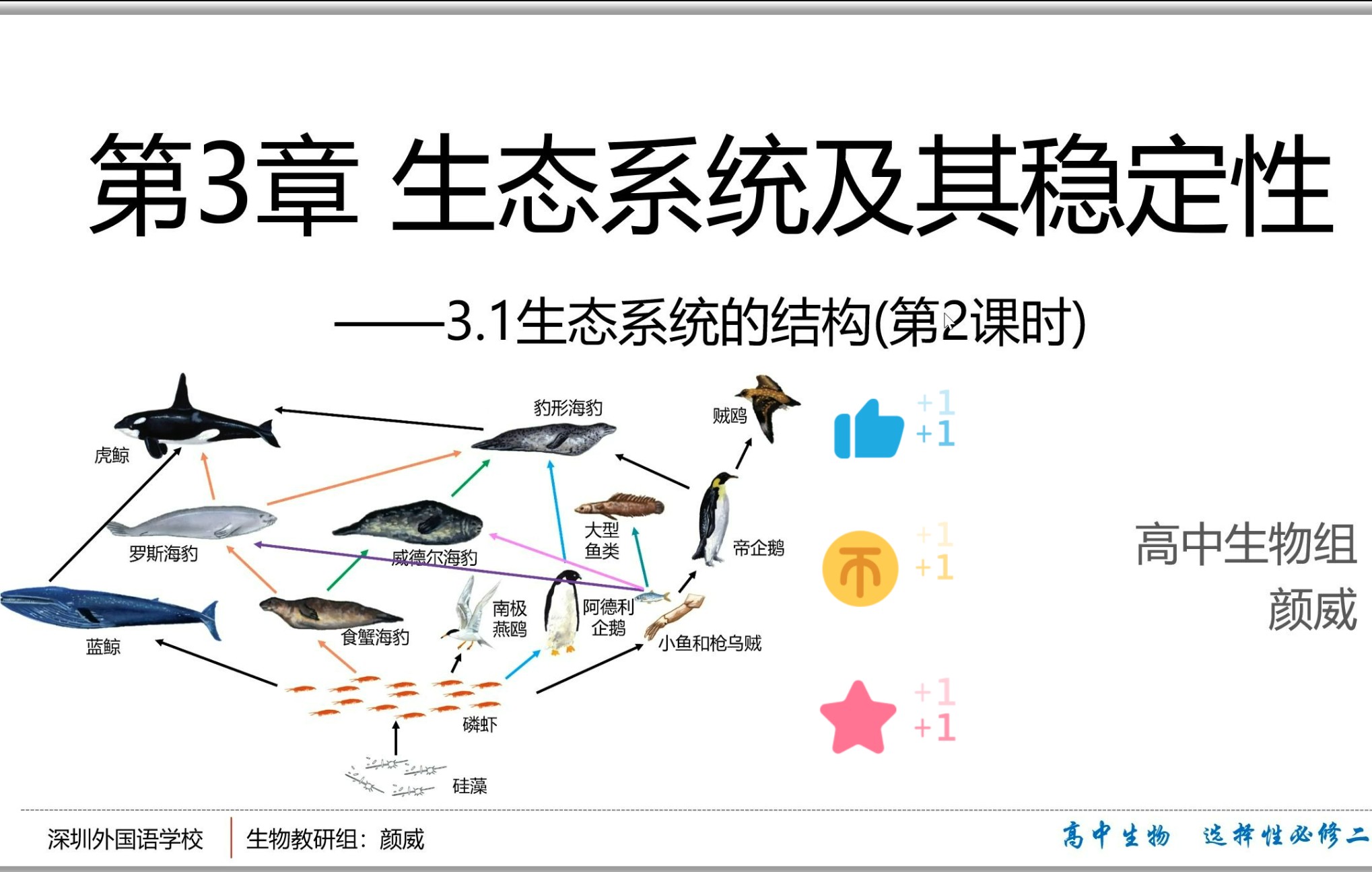 【高中生物选择性必修二】3.1.2生态系统的结构 生态系统的营养关系 食物链和食物网哔哩哔哩bilibili