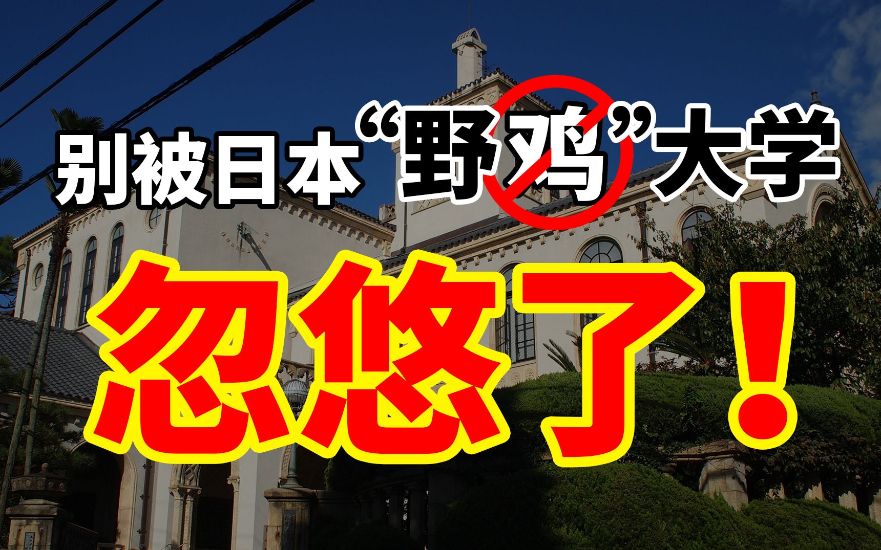 留学花费几十万仅换来一张废纸!?野鸡大学究竟有多害人哔哩哔哩bilibili