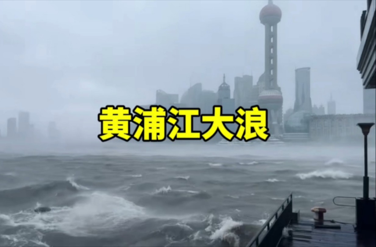 部分江水倒灌!台风贝碧嘉影响下黄浦江大浪滔天【9.16日】哔哩哔哩bilibili