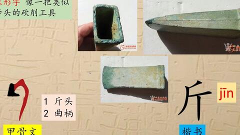 84 父 父是石斧 怎么变成的爸爸 汉字演变 汉字 趣味识字 象形字 甲骨文 哔哩哔哩 Bilibili