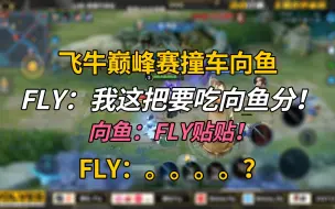 Descargar video: 飞牛巅峰赛撞车向鱼，FLY：我这把要吃向鱼分！向鱼：FLY贴贴！