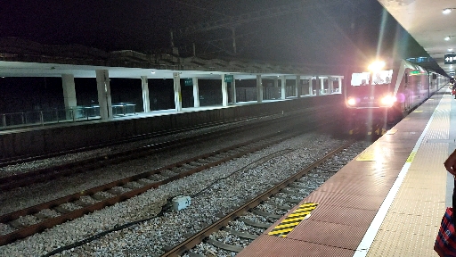 T8301列车图片