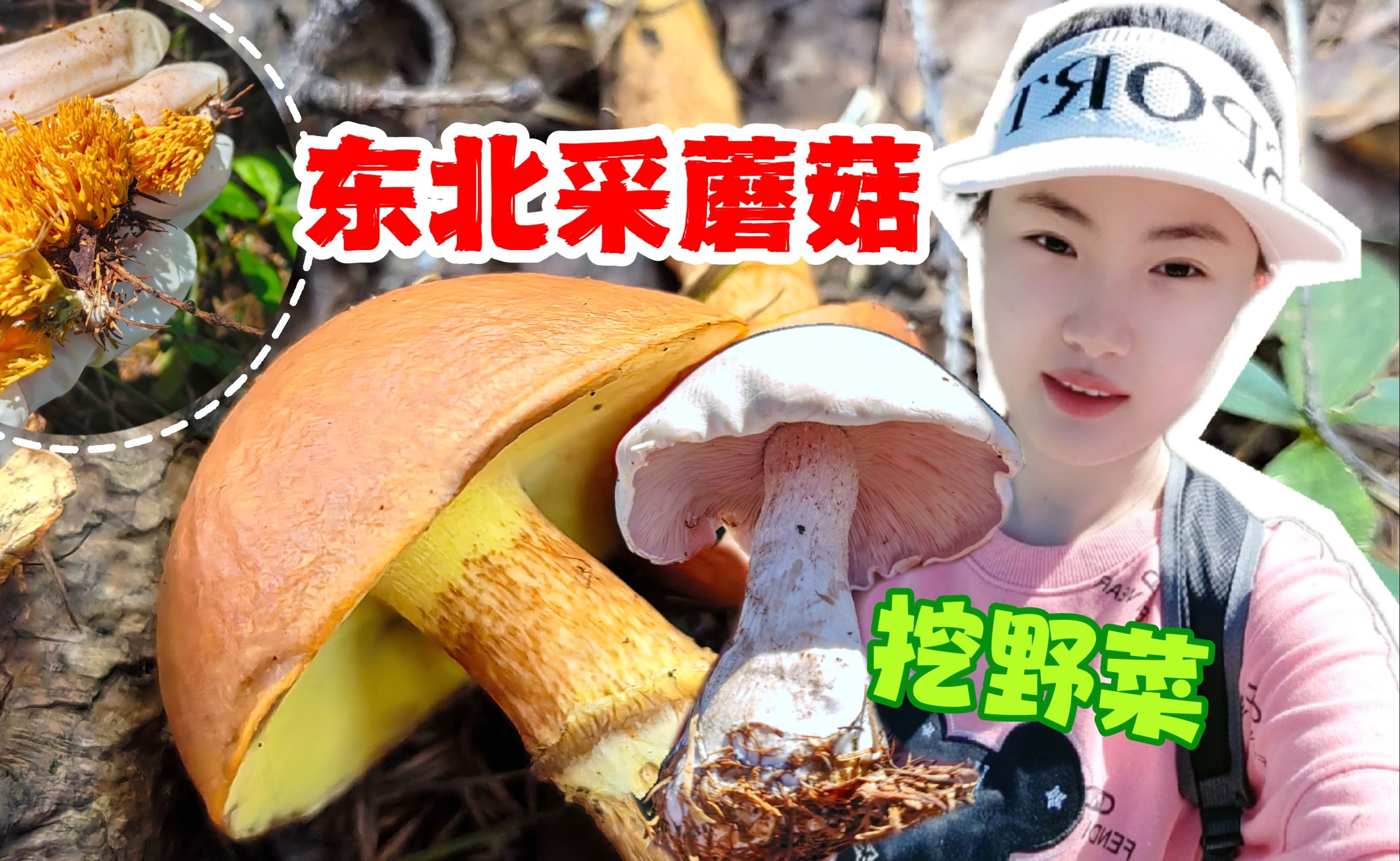 在东北上山采蘑菇,挖野菜,婆婆丁真苦,干豆腐卷大葱野餐必备!
