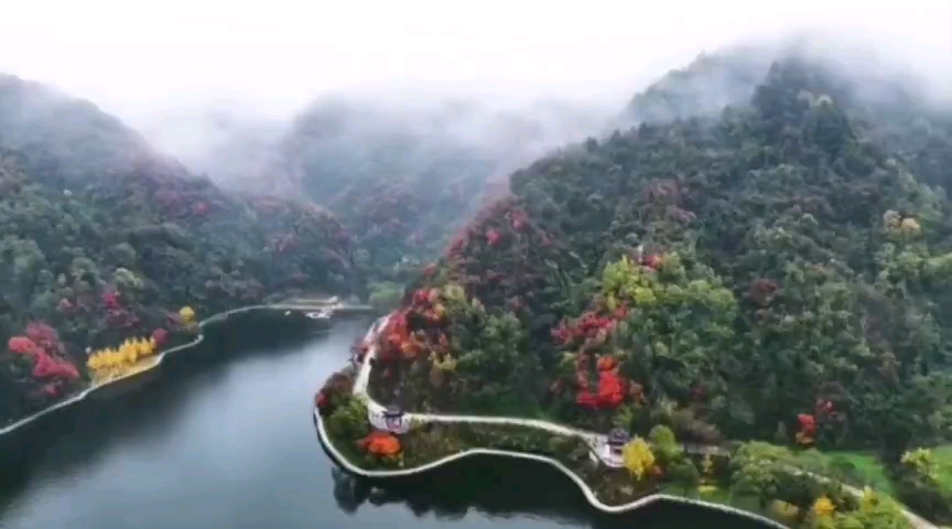 [图]古典音乐—花雨一隅（心安然，自清净）