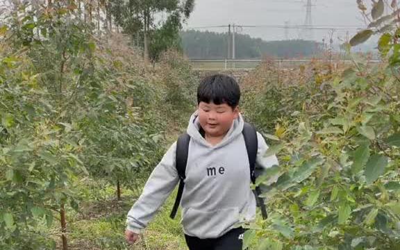 老肥这个也是你吃饭家伙,没有错啊!柳州方言 看一遍笑一遍笑的肚子疼 柳式幽默哔哩哔哩bilibili