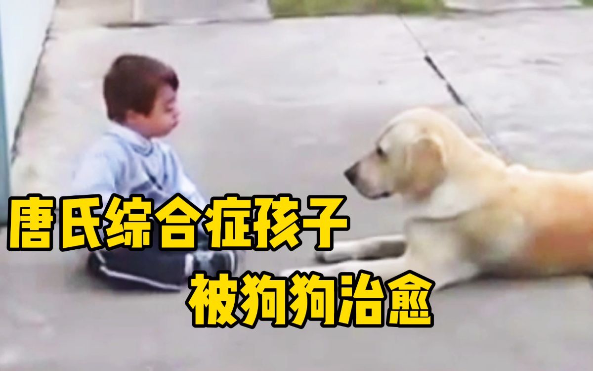 [图]超治愈～唐氏综合症男孩被治疗犬治愈，妈妈记录下了这一切！太治愈了～