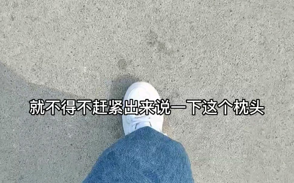 [图]别追着我要枕头了！