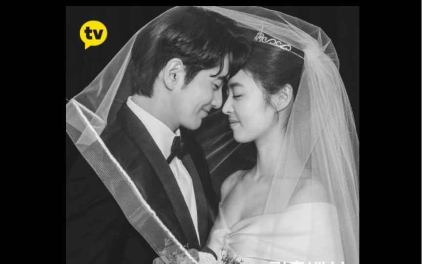 结婚白皮书李阵郁李沇熹