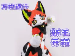 Descargar video: 【万物通行】南瓜补丁开箱视频，邪恶猫咪的诞生！