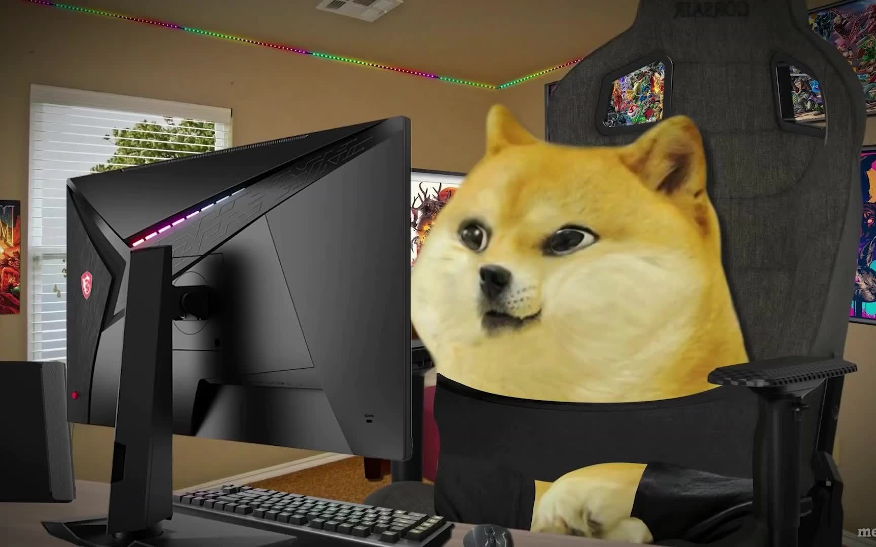 【中字】一般通过推特键政用户(memeify)