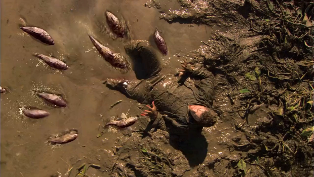 原本普通的黑鱼,竟然变异成七八米的食人鱼,疯狂袭击湖边居民