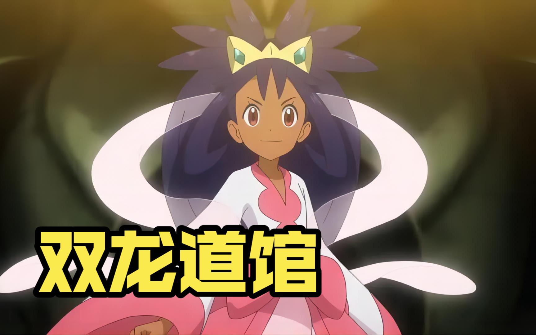 pokemmo从零开始的萌新计划——合众双龙道馆,冠军之路