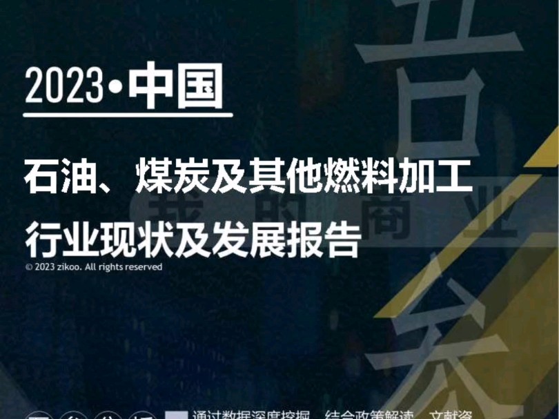 2023年版石油、煤炭及其他燃料加工行业现状及发展报告哔哩哔哩bilibili