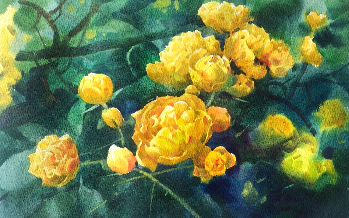 水彩花卉之小黄花 水彩教程