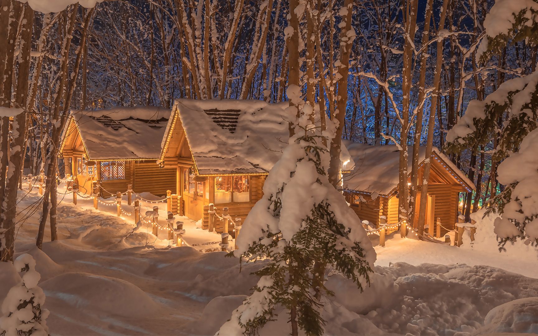 [图]【圣诞歌单🎄】圣诞🎅🏻初雪❄️新年烟火，所有美好都会如期而至❤️