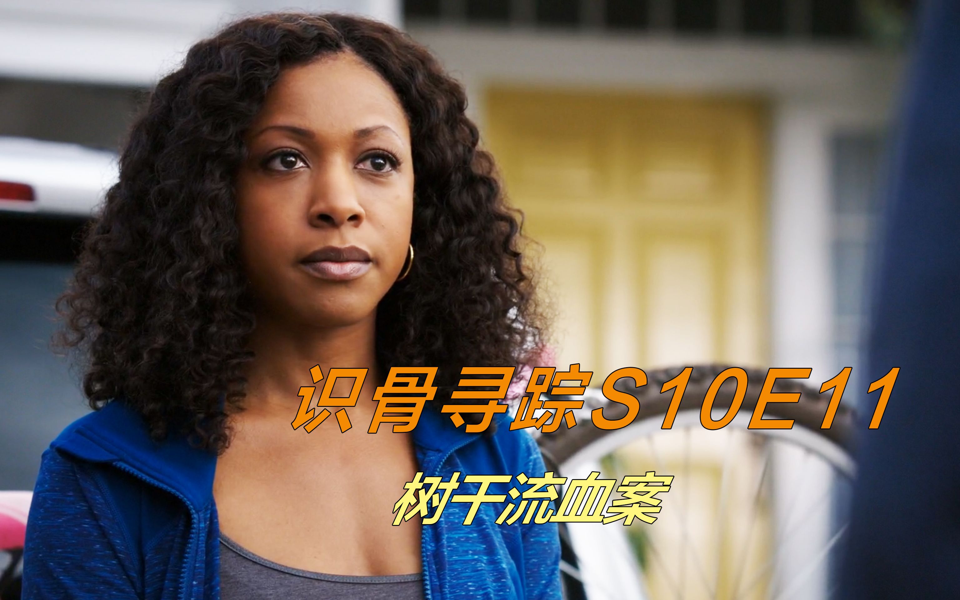 工作人员砍伐树木,却发现里面流出鲜血,重口味美剧识骨寻踪