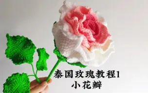 Descargar video: 泰国渐变玫瑰花花束钩针编织教程1手工钩针毛线花编织教程