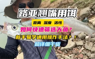 Download Video: 路亚野钓翘嘴用什么假饵好？手法与操作。第一视角野钓记录！