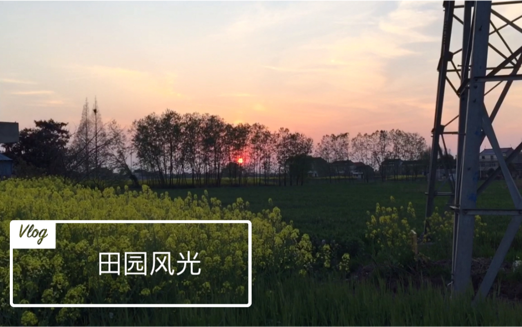 [图]宅家VLOG！农田 油菜花 日暮夕阳 闲适田园生活 清新乡村美景