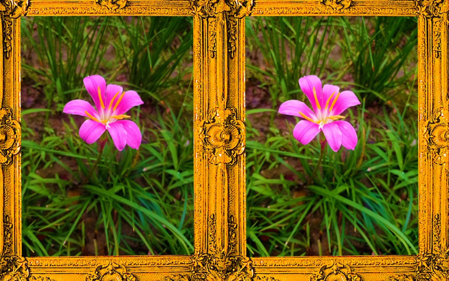 【平行3d】【裸眼3d】唯美风雨兰