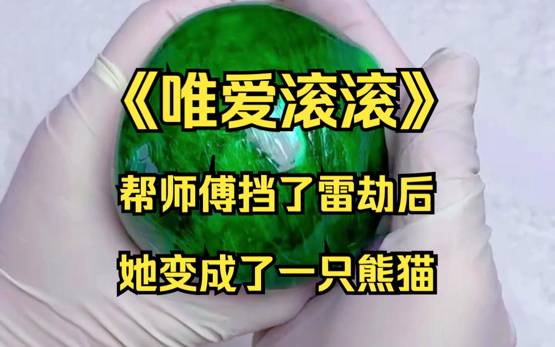 全仙界就她一只萌宠,连邪神都为她倾倒,甘愿隐身当辅助. 十二个师兄为了养她大打出手,小十四抱着她连夜逃出三千里路……哔哩哔哩bilibili