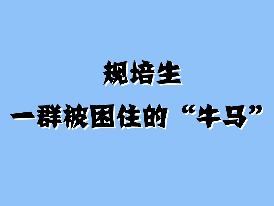 规培生,一群被困住的“牛马”哔哩哔哩bilibili