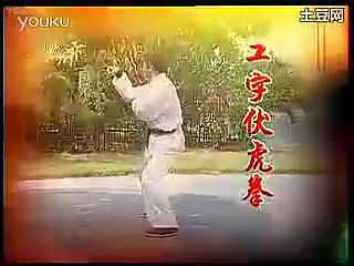 [图]洪家罗汉伏虎拳