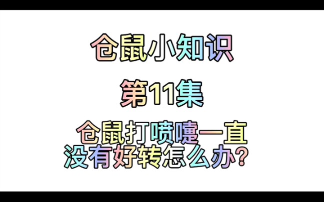 仓鼠小知识第11集:仓鼠打喷嚏一直没有好转怎么办?哔哩哔哩bilibili