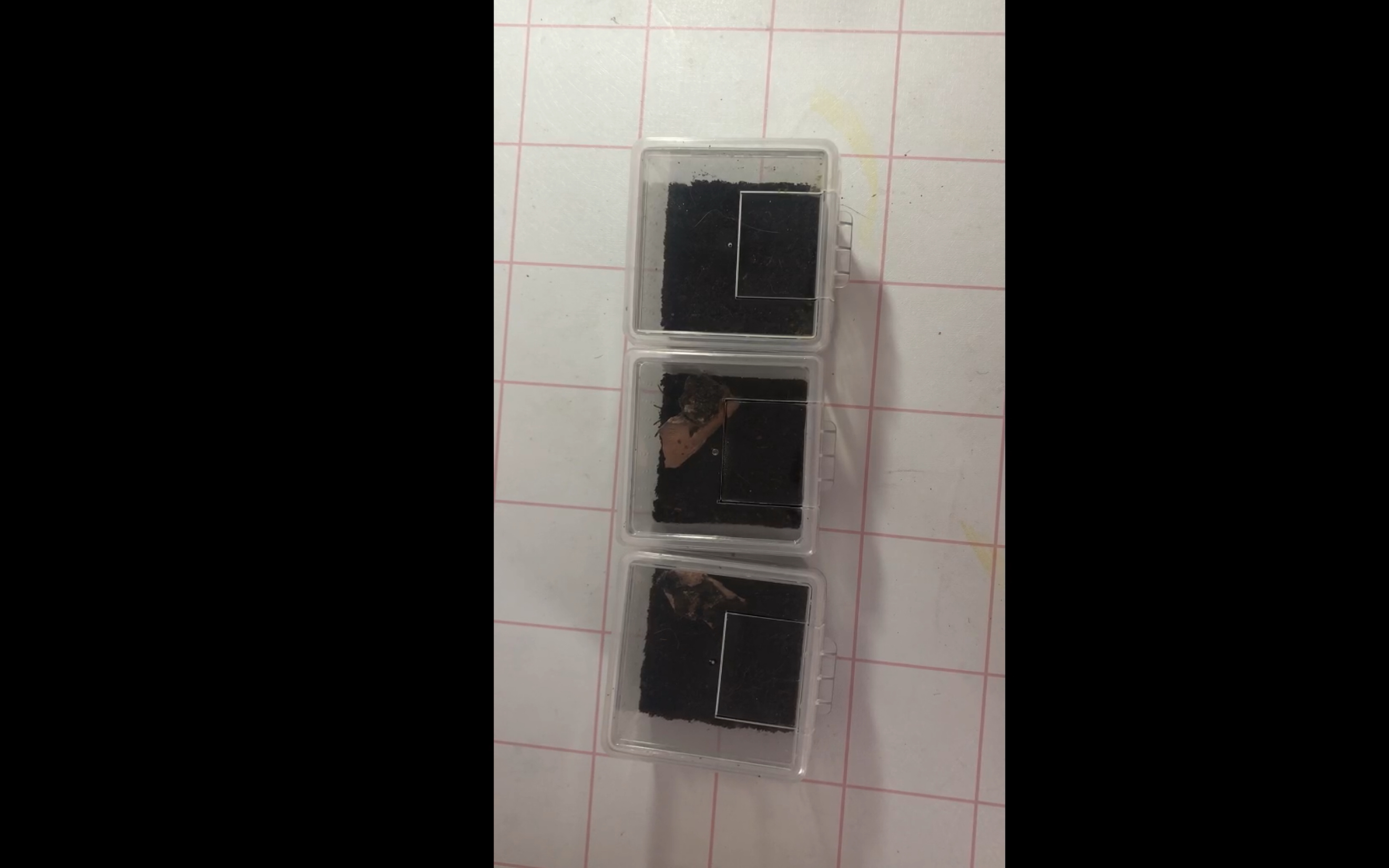 金属蓝卡恩卡拉地老虎开箱视频唉