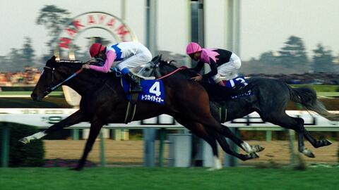 有馬記念 哔哩哔哩 Bilibili