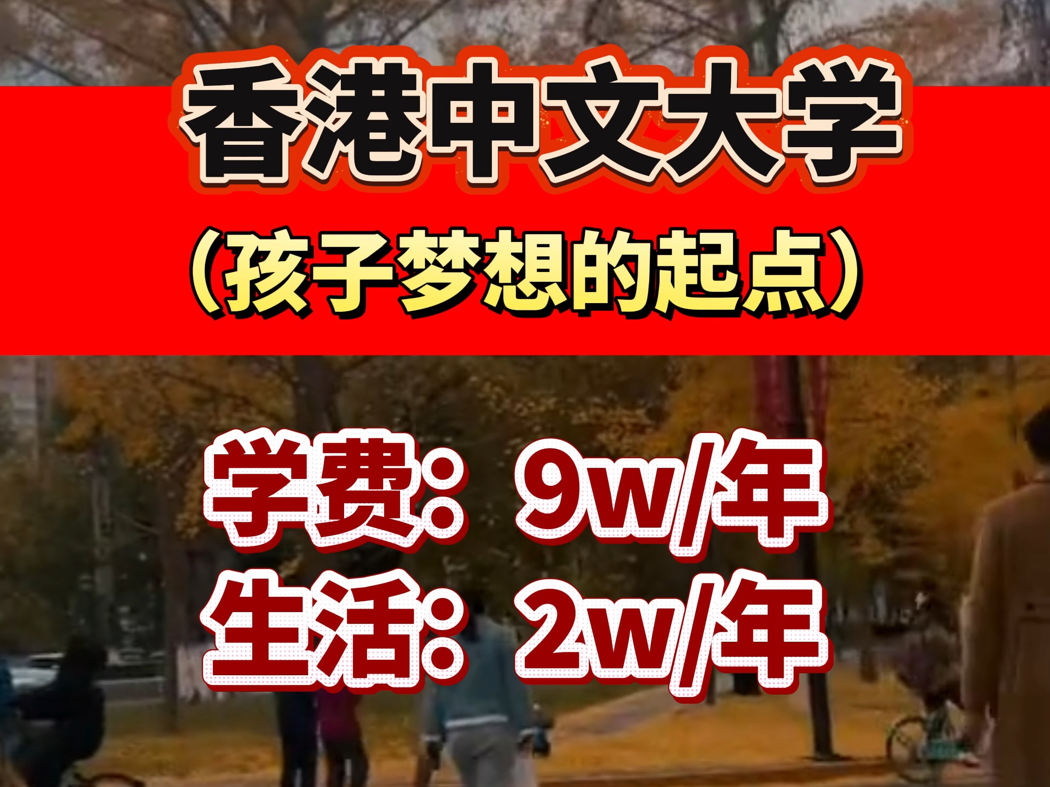 香港中文大学申请制硕士开始招生报名哔哩哔哩bilibili