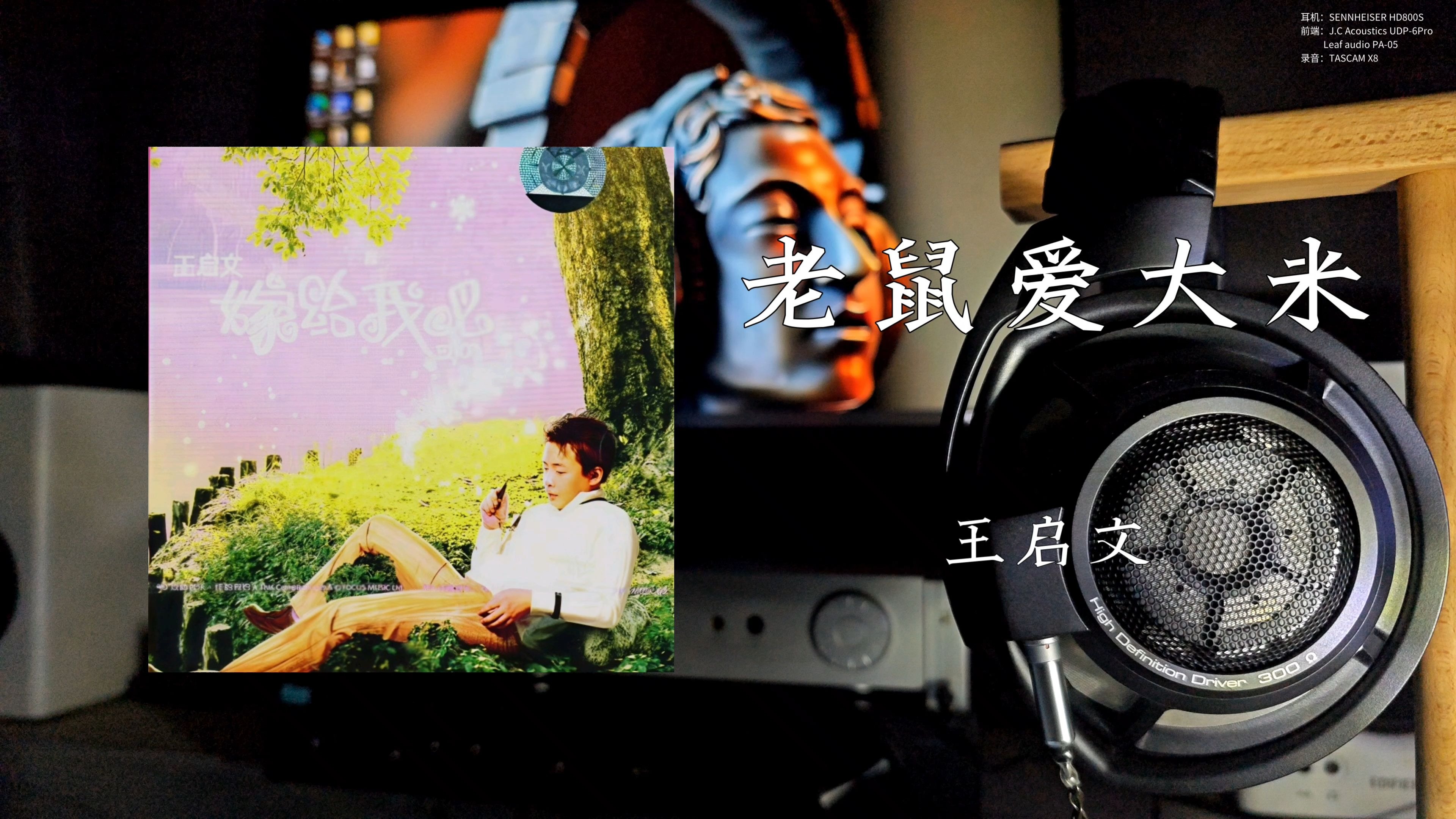 用旗舰耳机hd800s听音乐,《老鼠爱大米》- 王启文