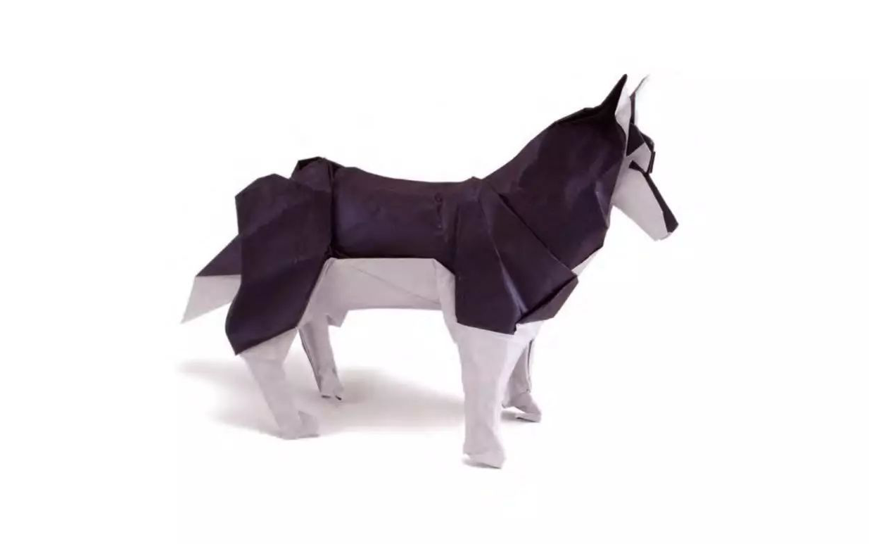 搬运折纸no70哈士奇设计者morisawaaoto视频录制者中文语音小说