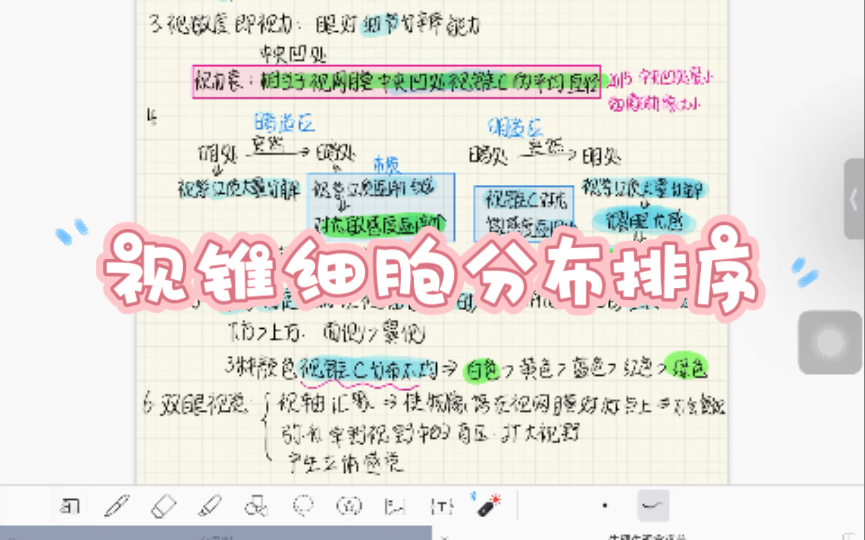 【考研生理】一句话记住视锥细胞分布排序哔哩哔哩bilibili