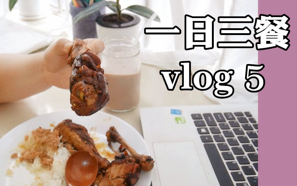 宅女vlog5超好吃电饭煲鸡腿|给狗子们做磨牙饼干【果平大儿yvonne】哔哩哔哩bilibili