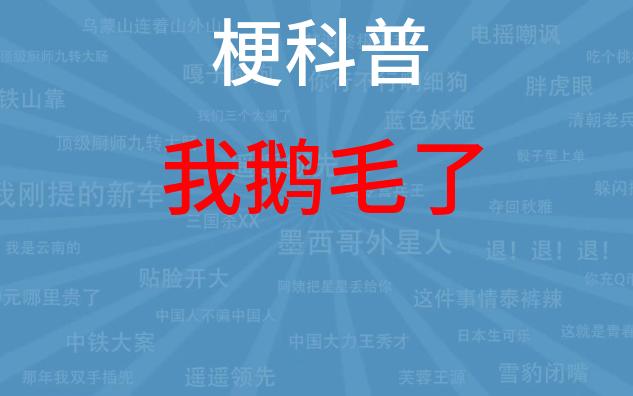 我鹅毛了是什么梗?【梗科普儿】哔哩哔哩bilibili