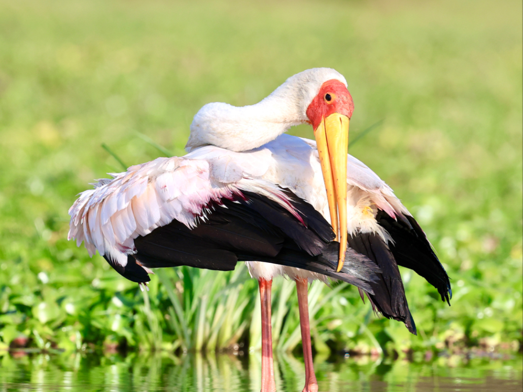她好像知道自己很美耶
