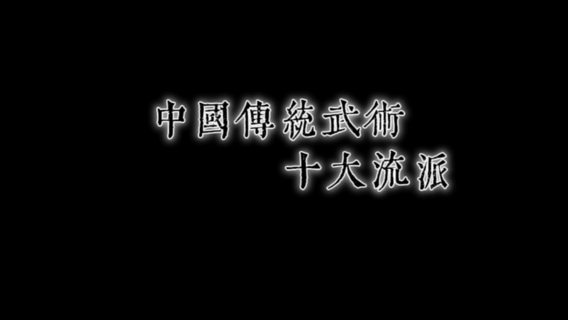 中国传统武术哔哩哔哩bilibili