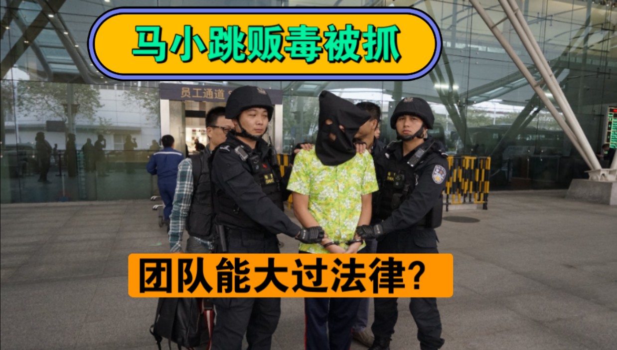 马小跳贩毒被抓,网吧大神团队能大过法么