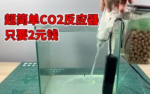 下载视频: 2元钱成本DIY超简单CO2反应器，结尾有惊喜