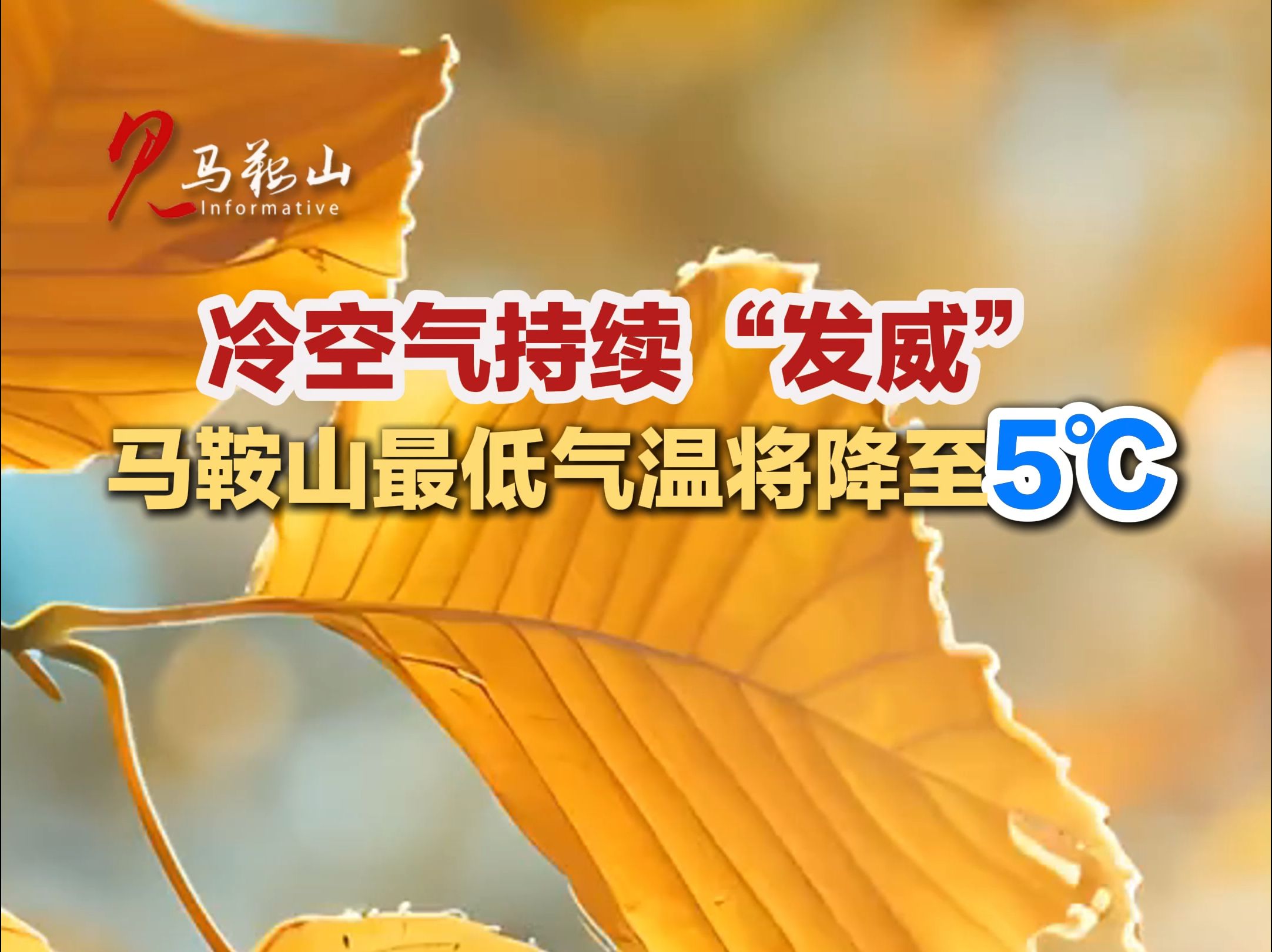 冷空气持续“发威”马鞍山最低气温将降至5℃哔哩哔哩bilibili