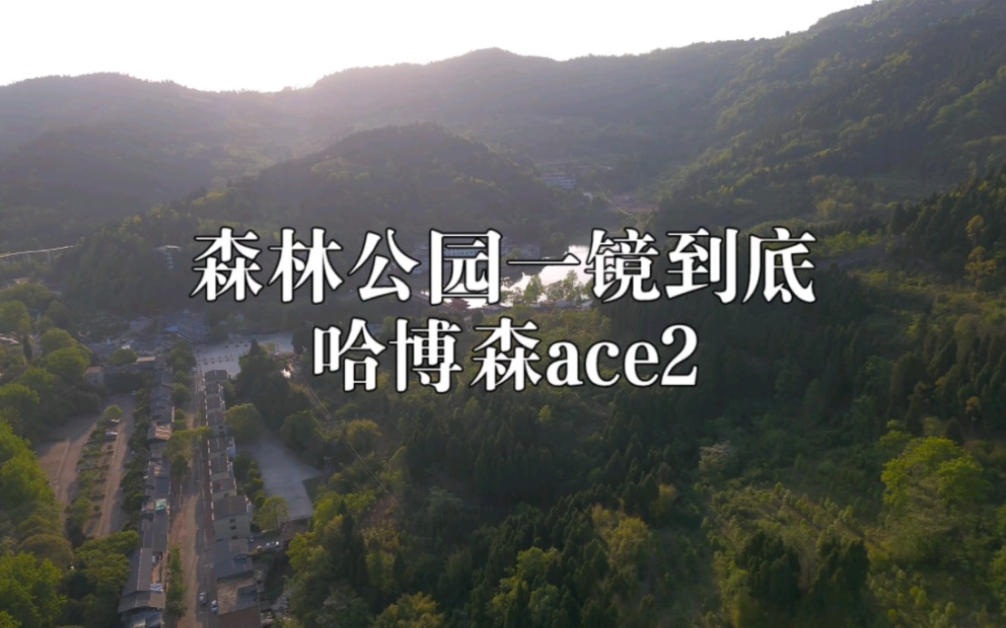 森林公园一镜到底 哈博森ace2