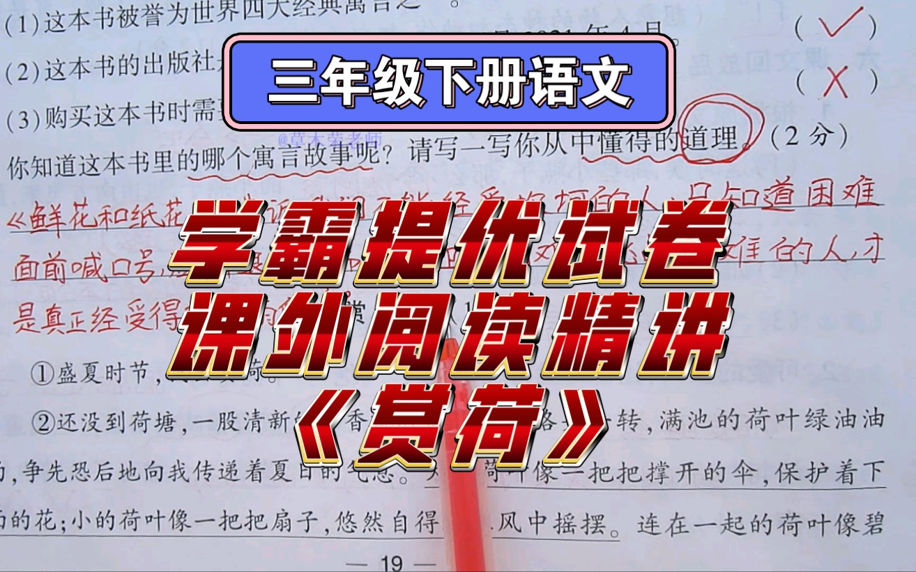 三下语文学霸提优试卷课外阅读精讲《赏荷》,想象力很重要!哔哩哔哩bilibili